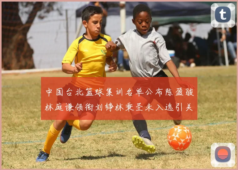 中国台北篮球集训名单公布陈盈骏林庭谦领衔刘铮林秉圣未入选引关注