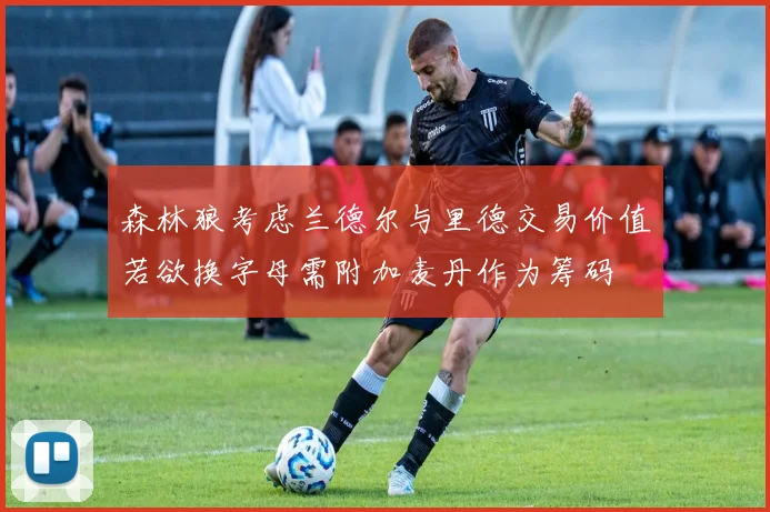 森林狼考虑兰德尔与里德交易价值若欲换字母需附加麦丹作为筹码